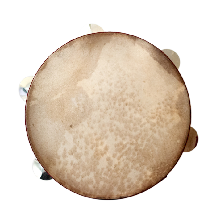 tammorra_sonagli